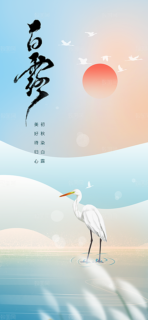 中国传统节气白露简约手机海报
