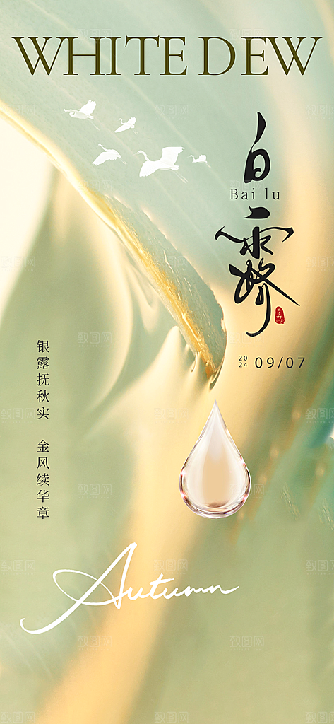 白露节气简约手机海报
