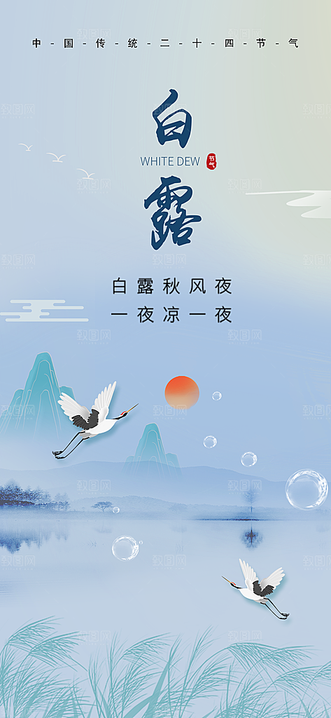 白露节气简约手机海报