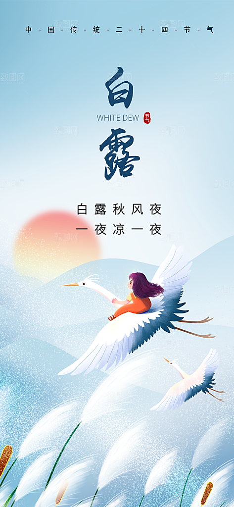 白露节气简约手机海报