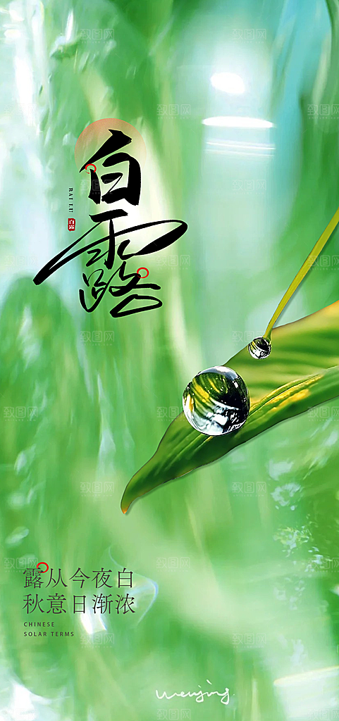 白露节气简约手机海报