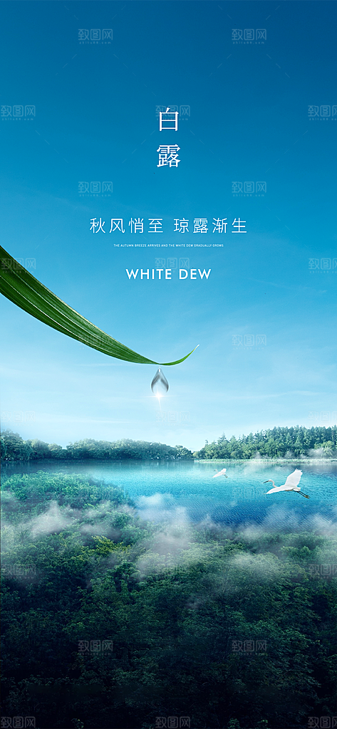 白露节气简约手机海报