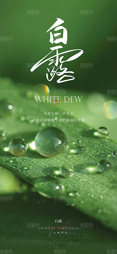 中国传统节气白露简约手机海报