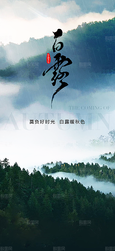 中国传统节气白露简约手机海报