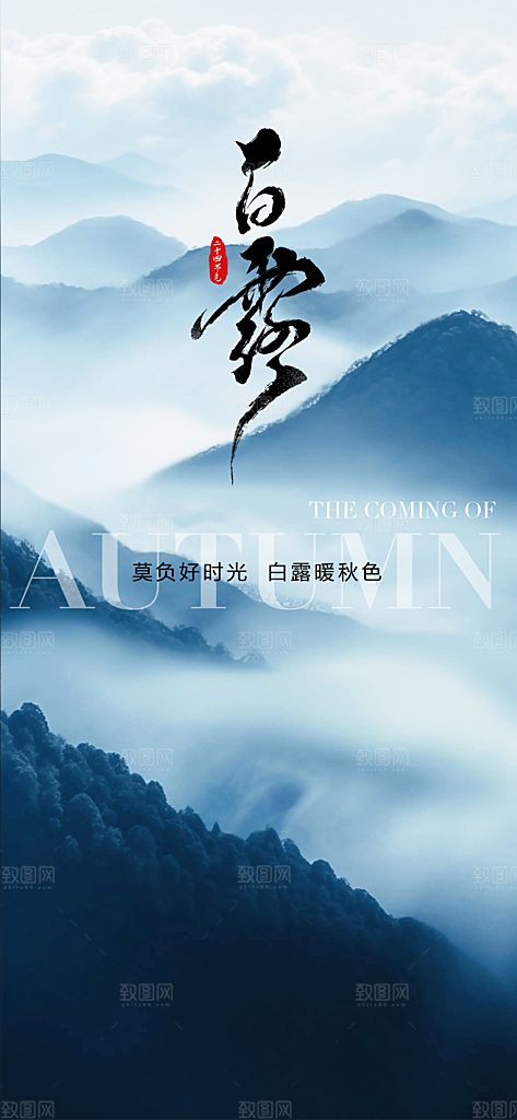 中国传统节气白露简约手机海报