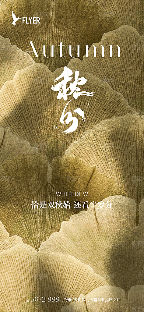 二十四节气秋分白露寒露立秋海报