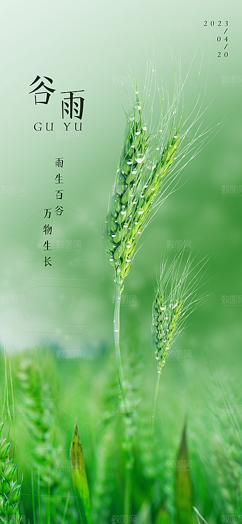 中国传统二十四节气谷雨宣传海报