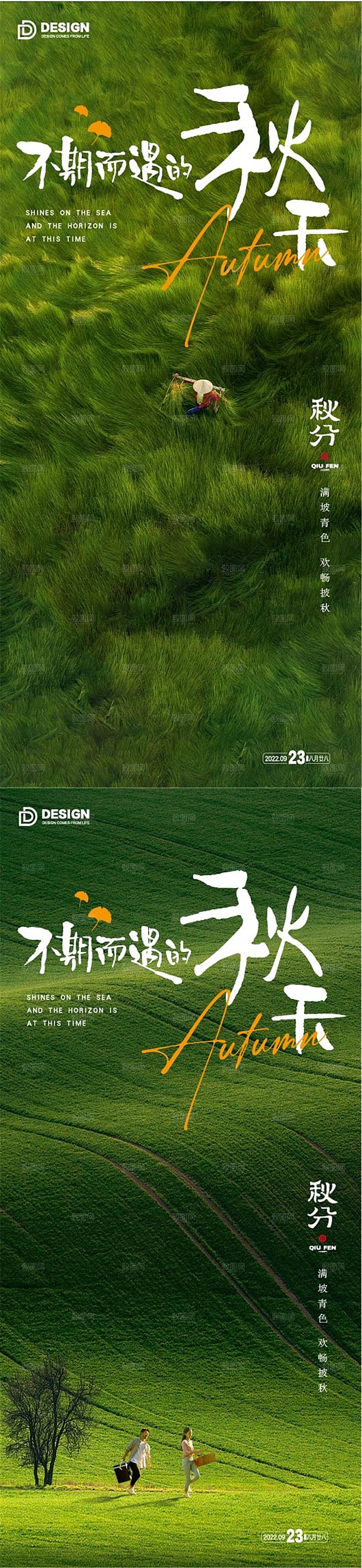 传统二十四节气简约大气海报