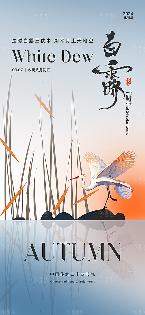 白露节气简约海报