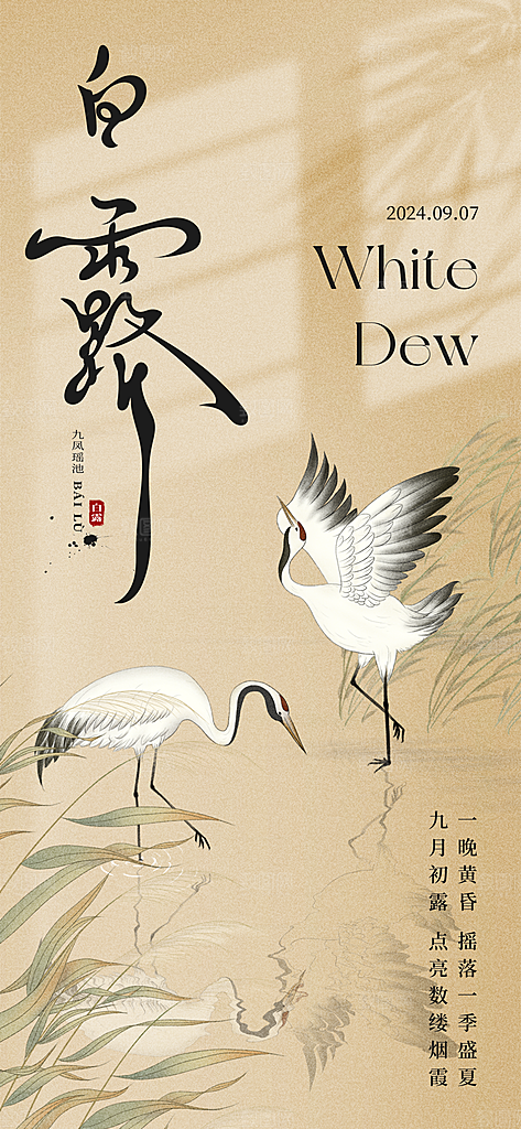 白露节气简约海报