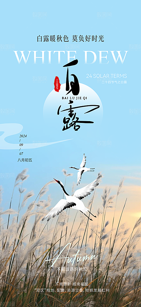 白露节气简约海报