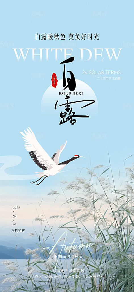 白露节气简约海报