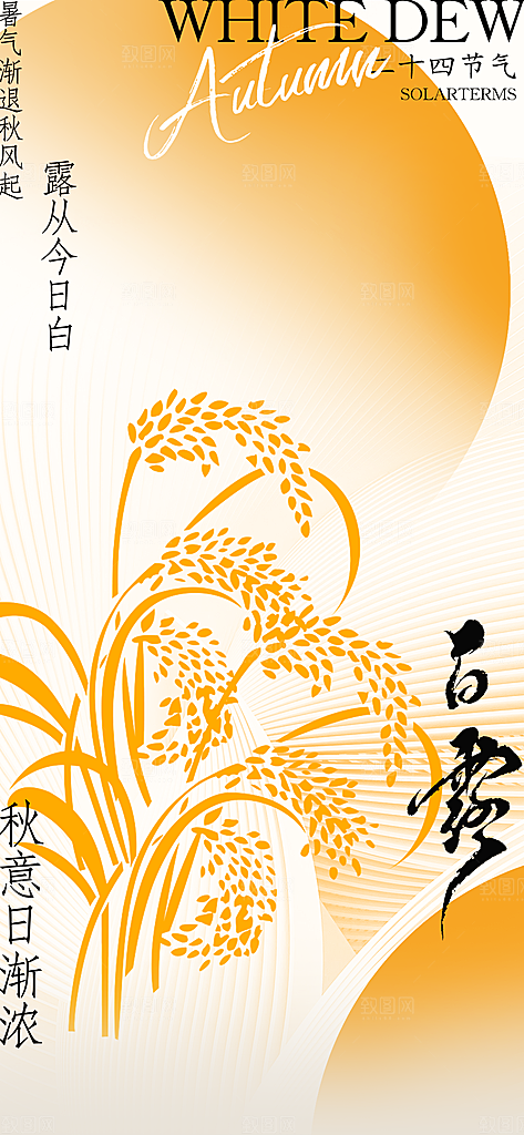 白露节气简约海报