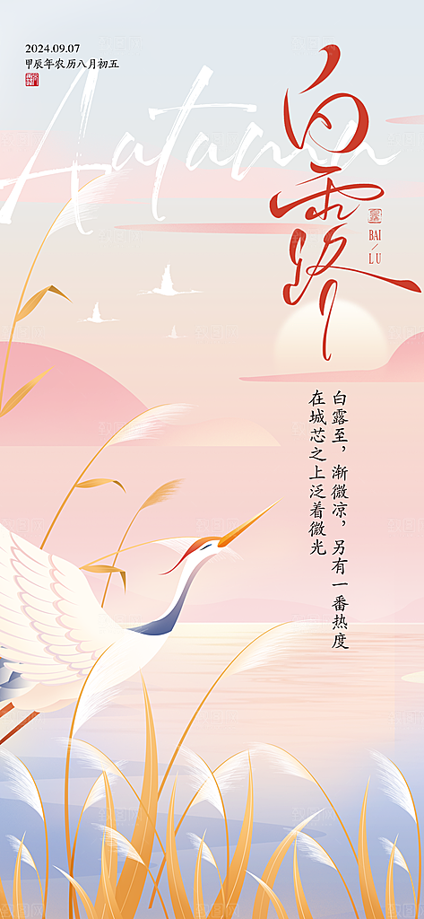 白露节气简约海报