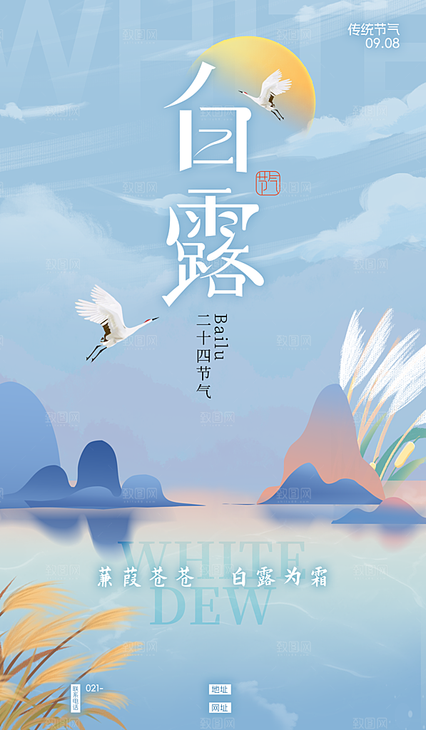 白露节气简约手机海报