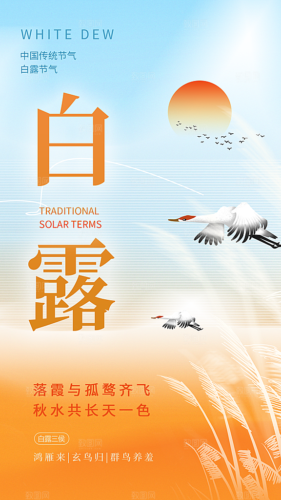 白露节气简约手机海报