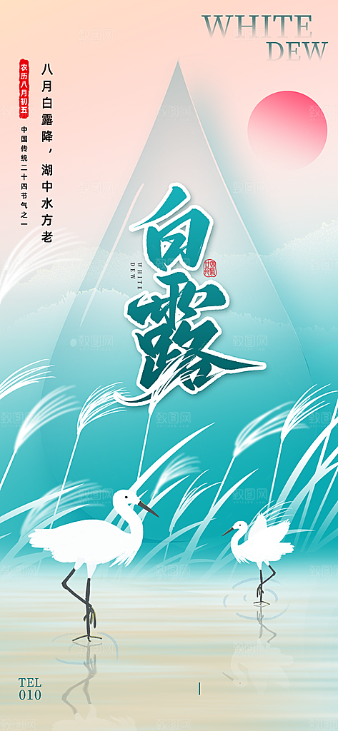 白露节气简约手机海报