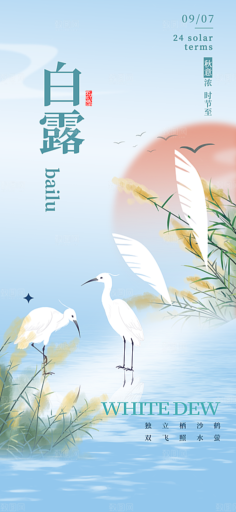 白露节气简约手机海报
