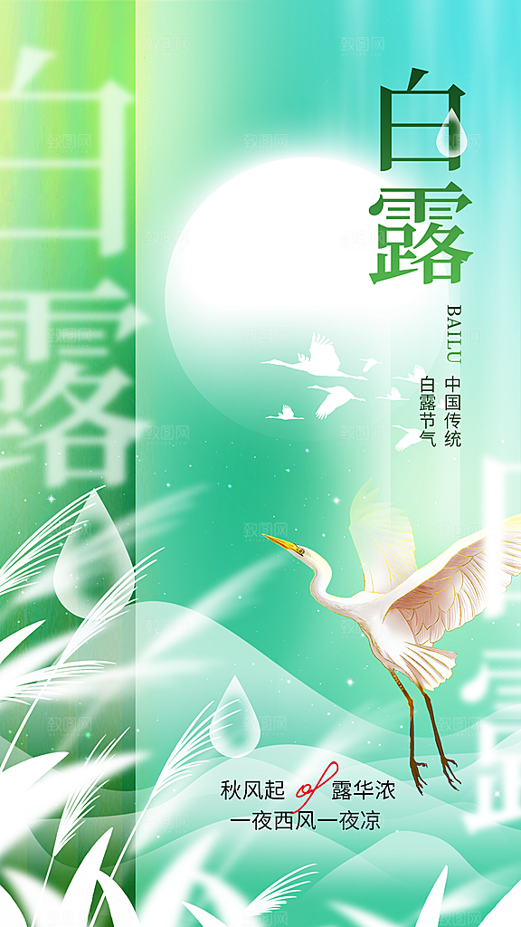 白露节气简约手机海报