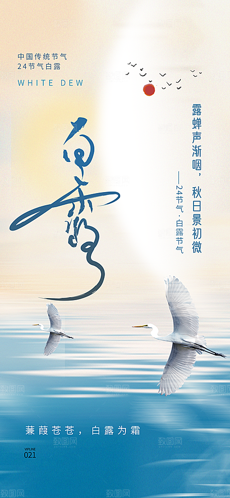 中国传统节气白露简约手机海报