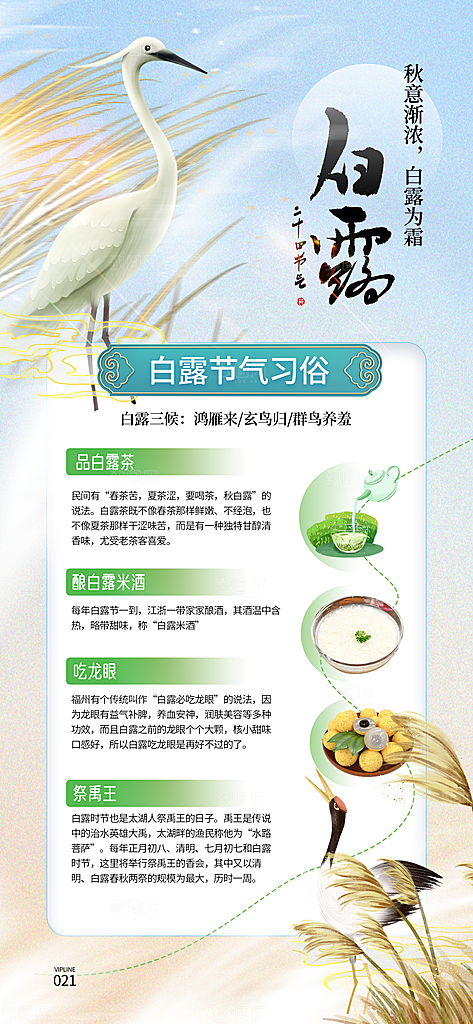 中国传统节气白露简约手机海报