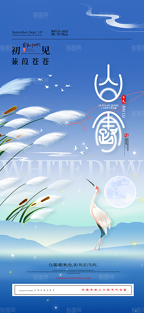 中国传统节气白露简约手机海报