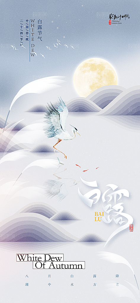 白露节气简约手机海报