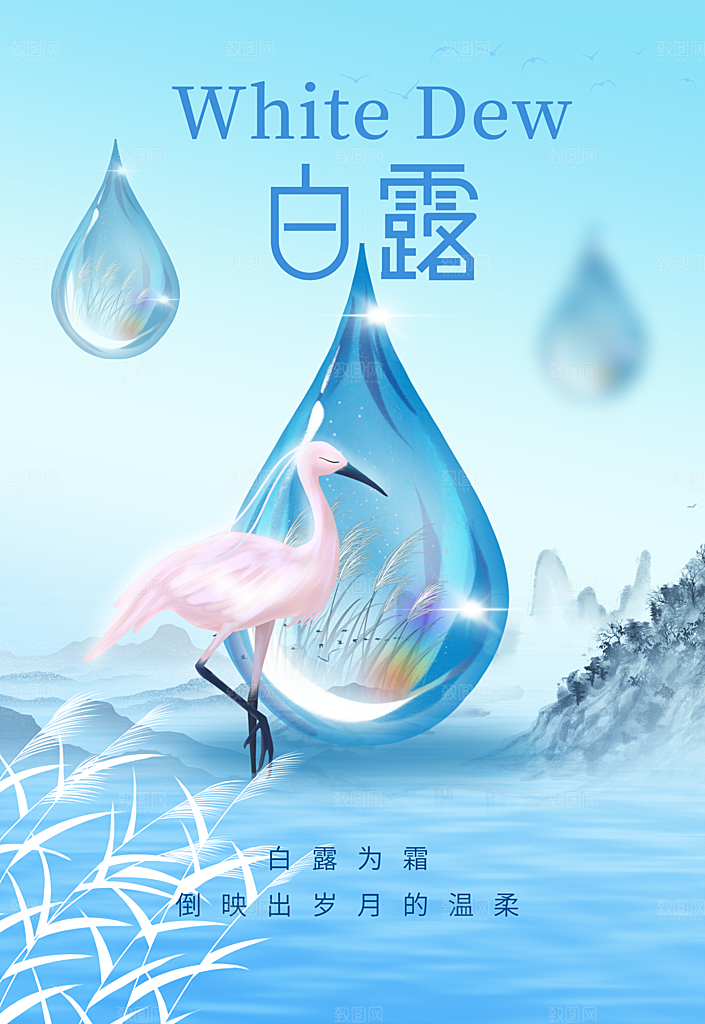 白露节气二十四节气海报
