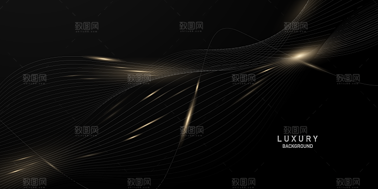 高端黑金曲线粒子舞台会议活动KV主视觉