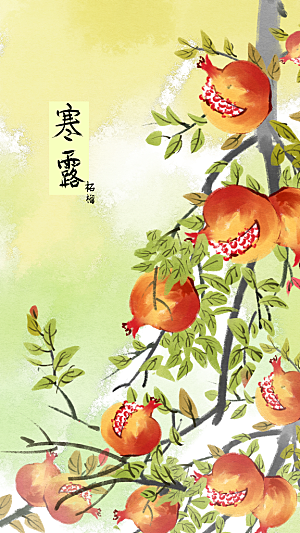 寒露中国传统节日二十四节气宣传插画海报