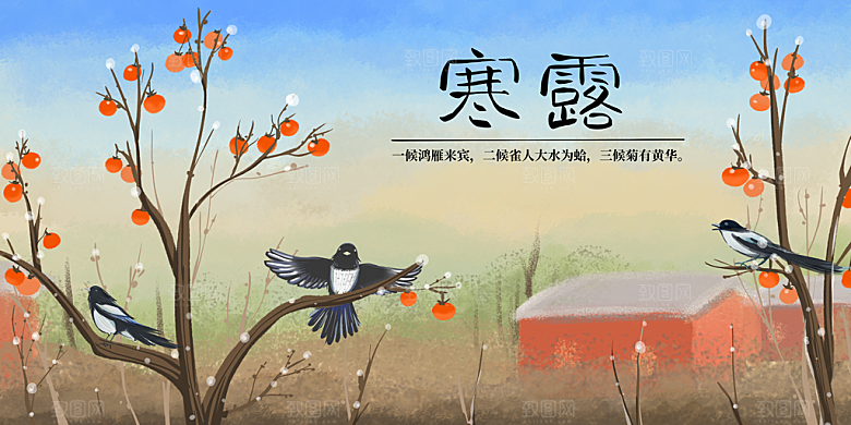 寒露中国传统节日二十四节气宣传插画海报