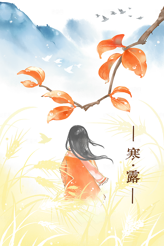 寒露中国传统节日二十四节气宣传插画海报