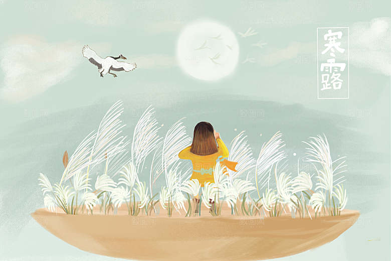 寒露中国传统节日二十四节气宣传插画海报