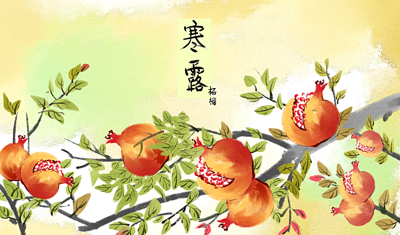 寒露中国传统节日二十四节气宣传插画海报