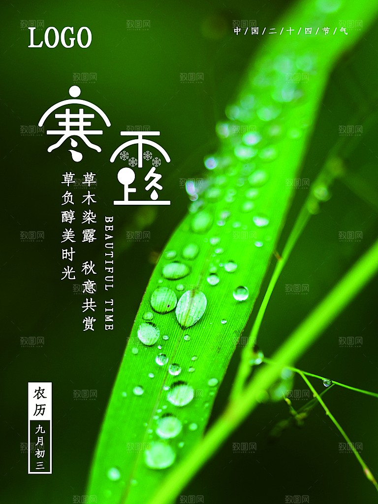 寒露节气简约大气海报