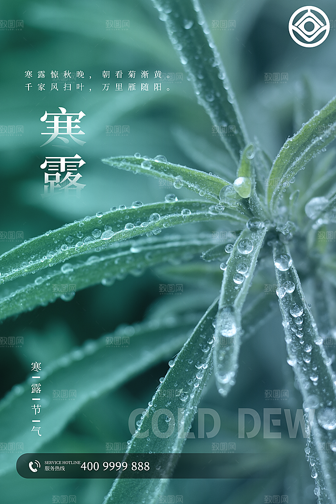 寒露节气简约大气海报