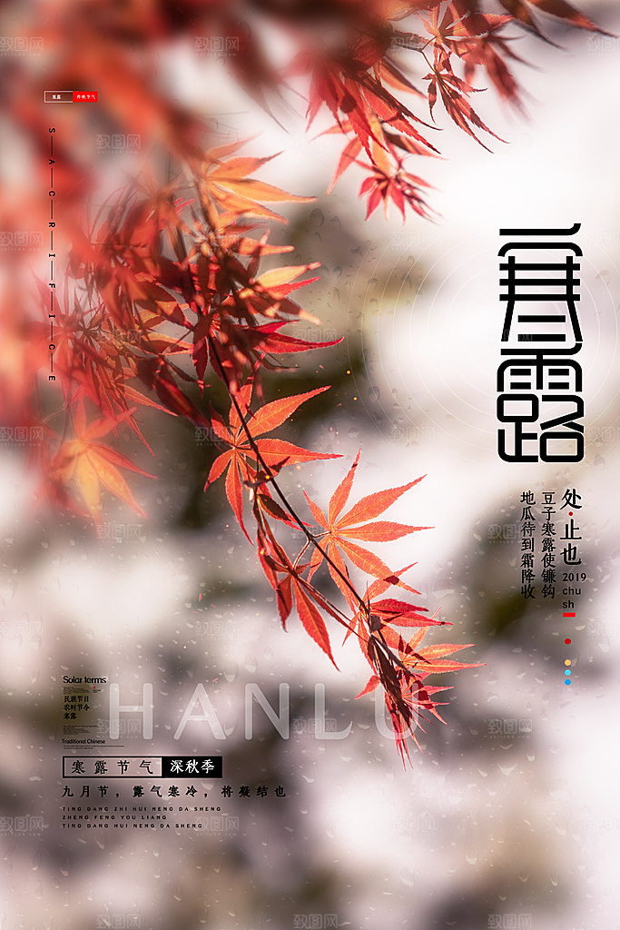 中国传统节日寒露二十四节气宣传海报