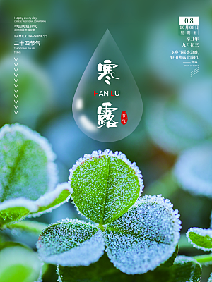 寒露节气简约大气海报