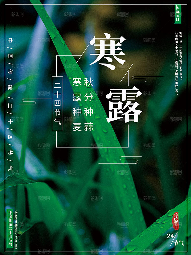 寒露节气简约大气海报