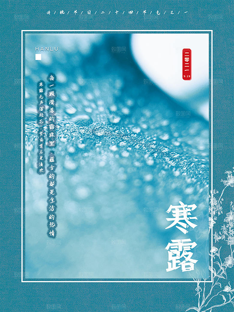 寒露节气简约大气海报