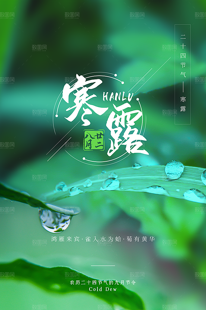 中国传统节日寒露二十四节气宣传海报