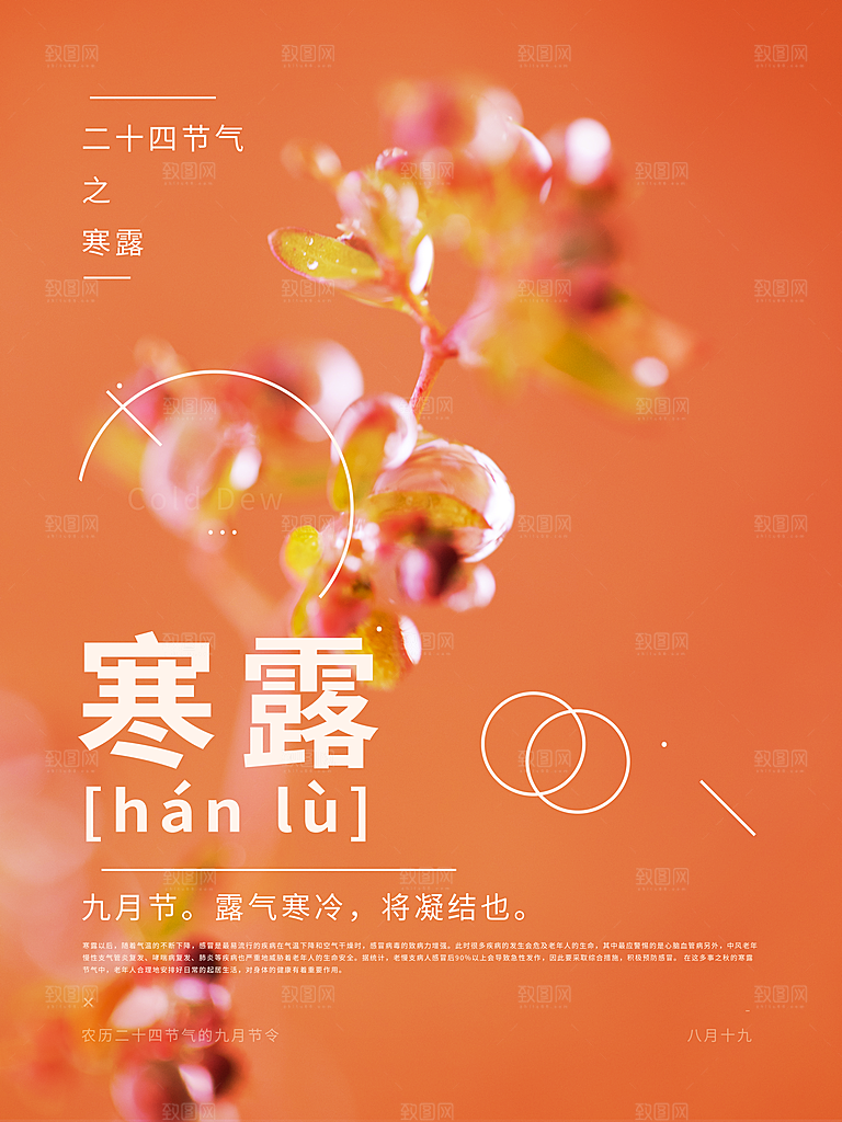 中国传统节日寒露二十四节气宣传海报