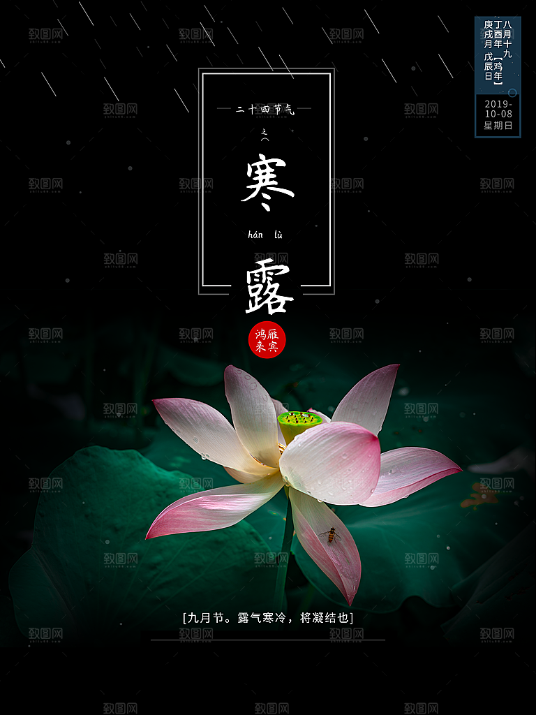 中国传统节日寒露二十四节气宣传海报