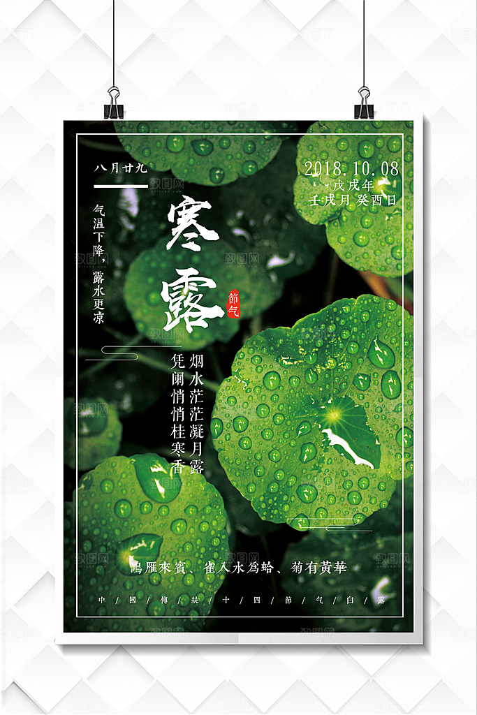 中国传统节日寒露二十四节气宣传海报