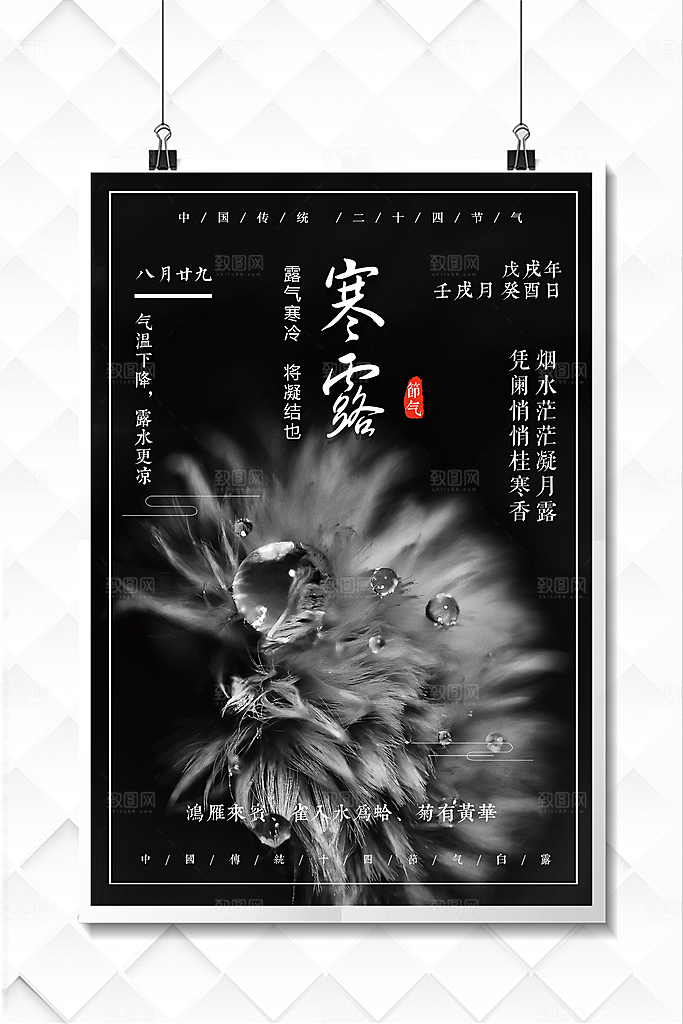 中国传统节日寒露二十四节气宣传海报