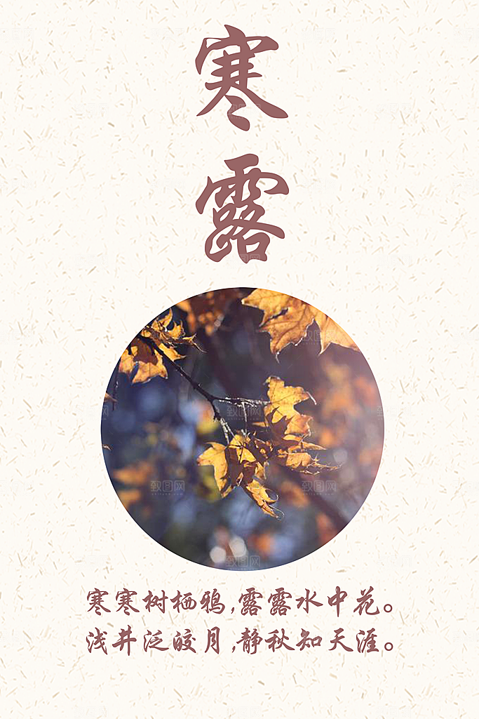 中国传统节日寒露二十四节气宣传海报