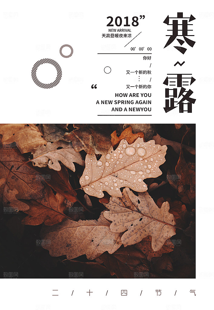 中国传统节日寒露二十四节气宣传海报