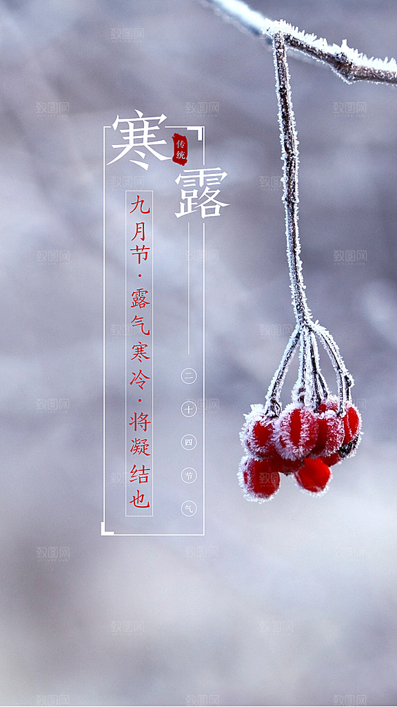 中国传统节日寒露二十四节气宣传海报