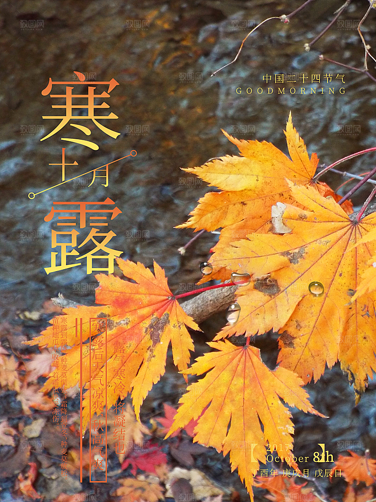 中国传统节日寒露二十四节气宣传海报
