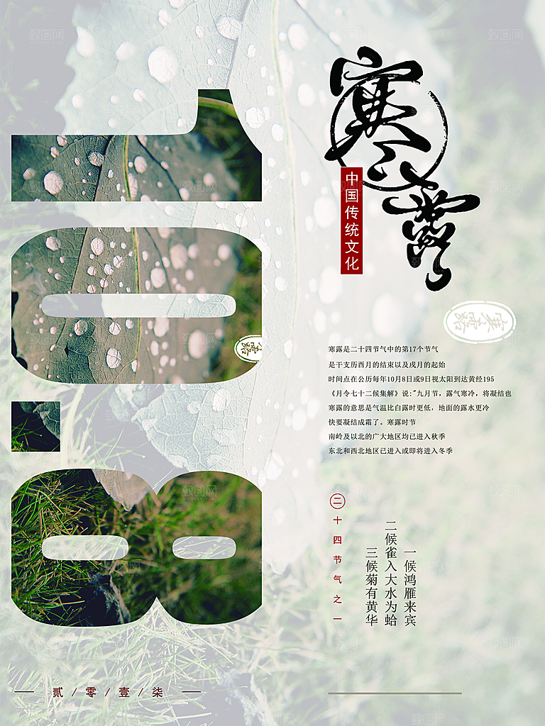 中国传统节日寒露二十四节气宣传海报